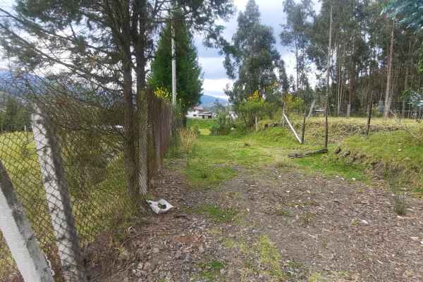 TERRENO GRANDE Y COMPLETAMENTE PLANO CERCA DE LA VIA A CHECA