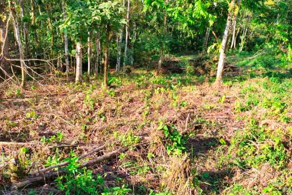 Terreno de venta en el cantón Pedro Vicente Maldonado