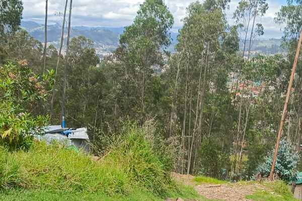 TERRENO EN VENTA IDEAL PARA CONTRUCCION DE VIVIENDA