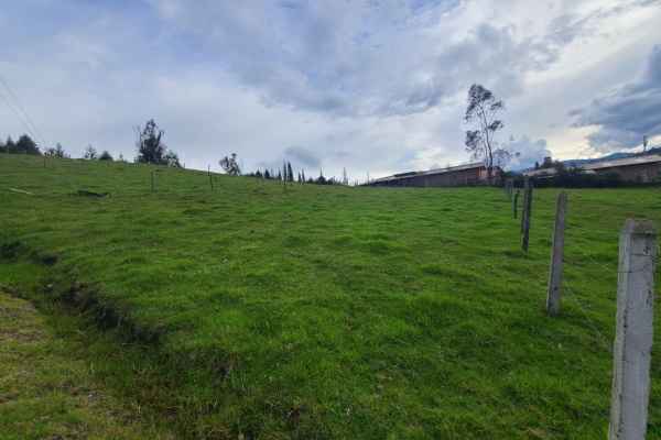 TERRENO EN VENTA IDEAL PARA VILLA EN TARQUI URB EL ALAMO