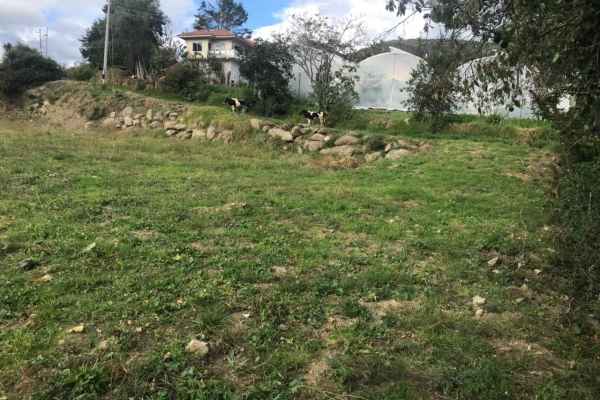 TERRENO EN VENTA EN PAUTE, CERCA DE AVENIDA PRINCIPAL